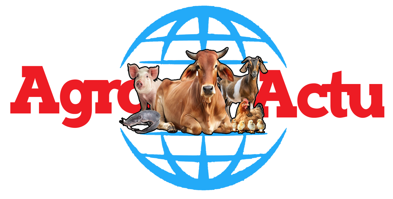 Actualités agricoles Camer